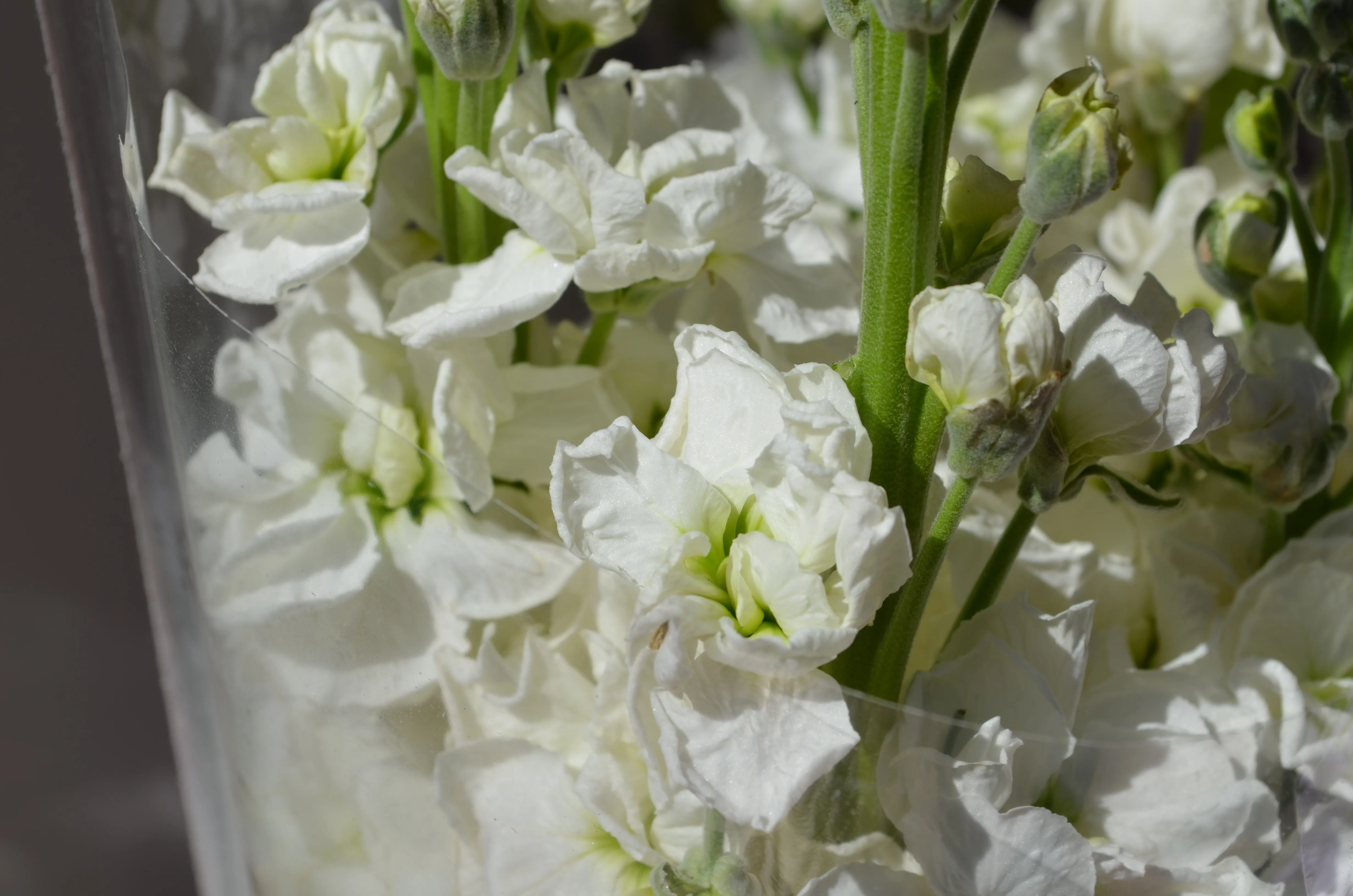 Fresh flowers at Bakehouse